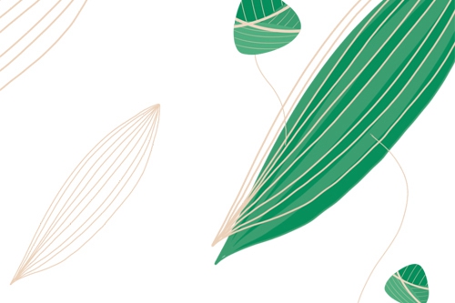 端午节 | 浓情端午 “粽”要是你